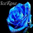 IceRose