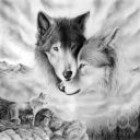 wolf_lover