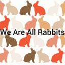 weareallrabbits