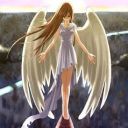 tmtigerlily