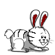 mortal bunny