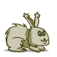 lapin/angora/lapin-gris.png