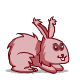 lapin/angora/lapin-rose.png