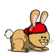 lapin/coach/lapin-orange.png