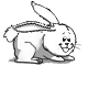 🥫🐰💙0.00⚪