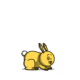 🎶🐺❤️0.00💛