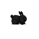 🎶🐺💙0.00⬛
